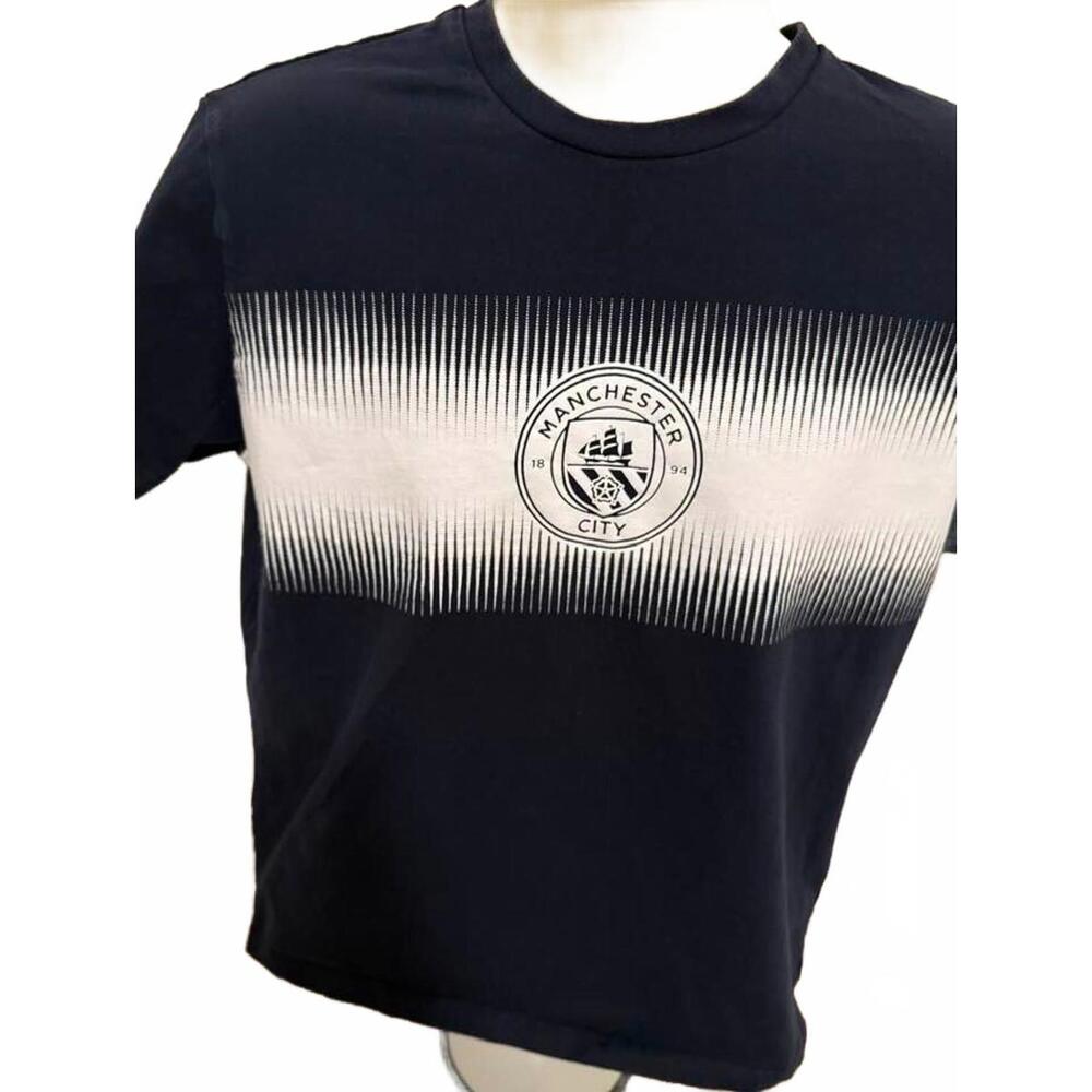 MANCHESTER CITY FC FOOTBALL LOGO MENS‎ T SHIRT LARGE BLUE
